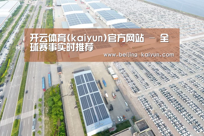 案例展示一