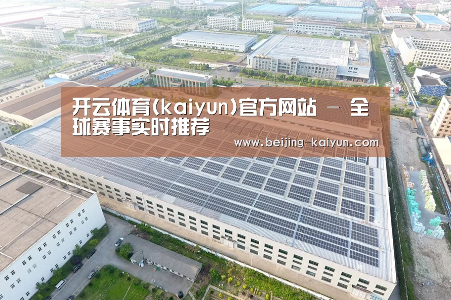 案例展示三