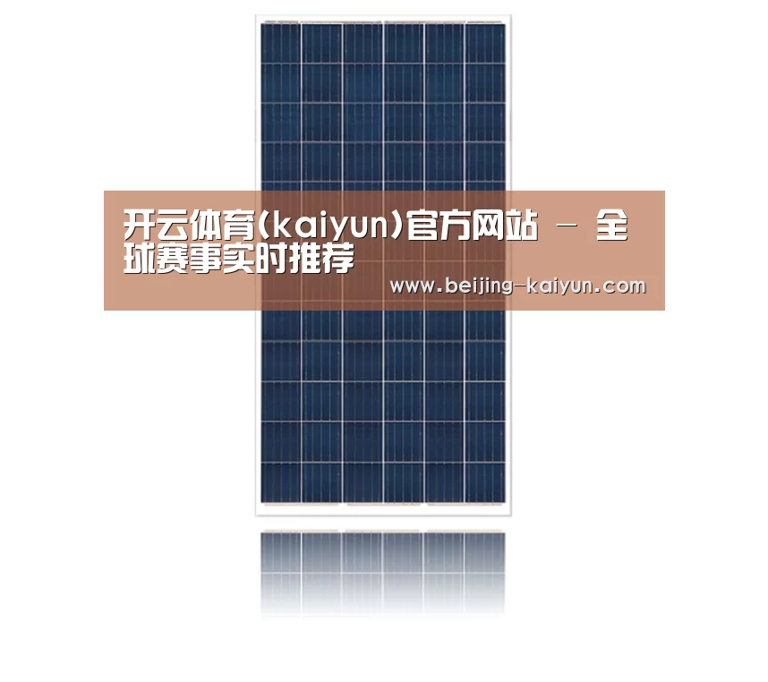 产品名称一