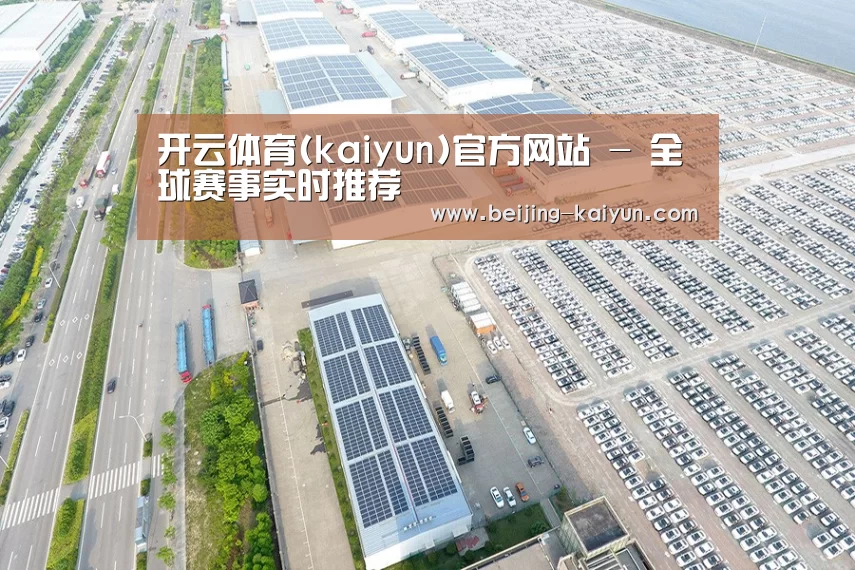 案例展示四