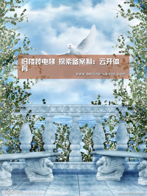 旧楼装电梯 探索备案制:云开体育(图1) 开云app